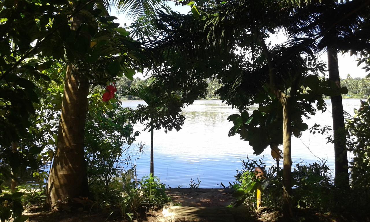 Big Banana Island Retreat Otel North Paravur Dış mekan fotoğraf