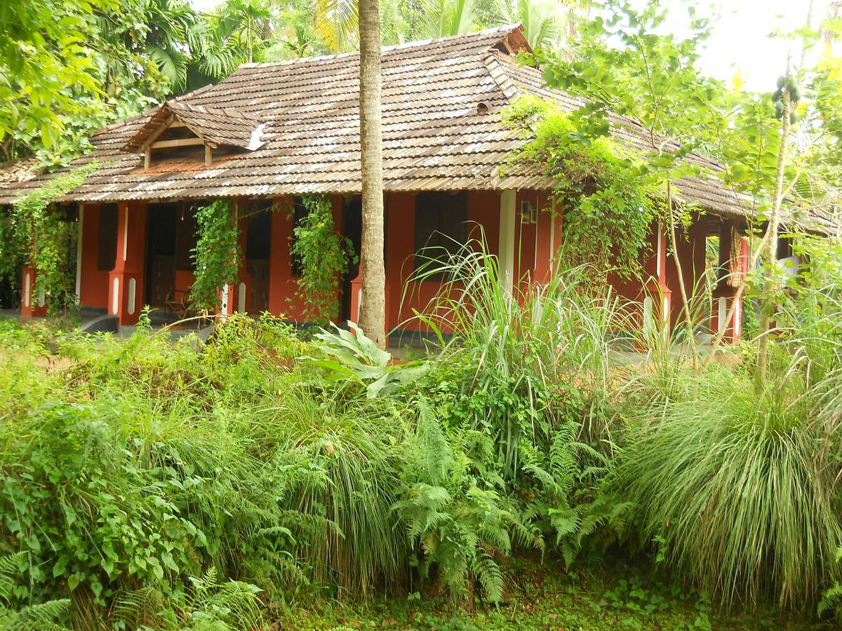 Big Banana Island Retreat Otel North Paravur Dış mekan fotoğraf